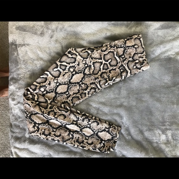 Snake print pants - Picture 2 of 6